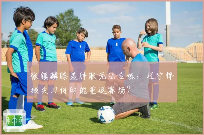 张镇麟膝盖肿胀无法合练，辽宁锋线尖刀何时能重返赛场？